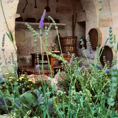 House 1938 Special Cave