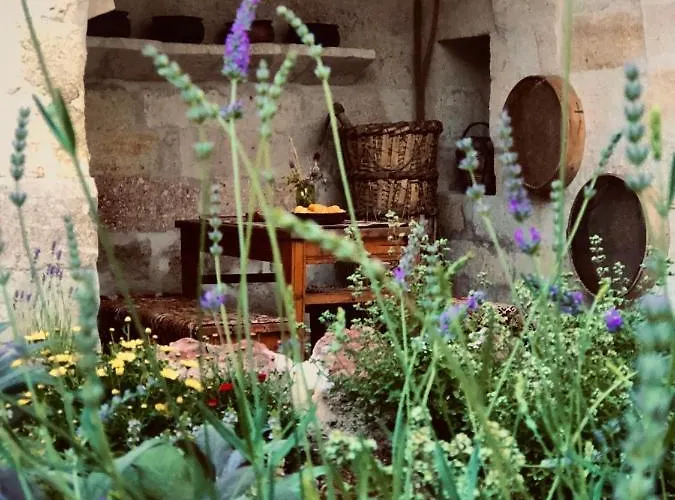 House 1938 Special Cave